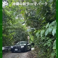 画像338