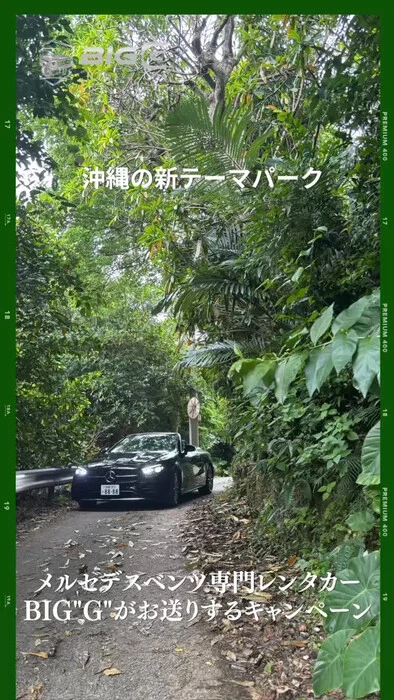 画像338
